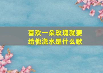 喜欢一朵玫瑰就要给他浇水是什么歌