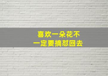 喜欢一朵花不一定要摘怼回去