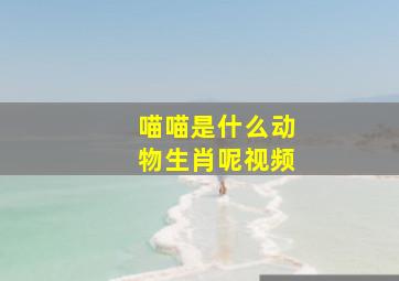 喵喵是什么动物生肖呢视频