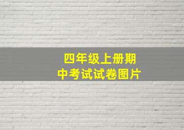 四年级上册期中考试试卷图片