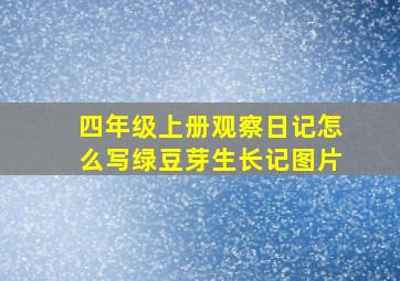 四年级上册观察日记怎么写绿豆芽生长记图片