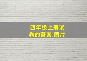 四年级上册试卷的答案,图片