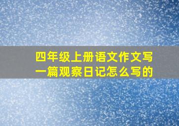 四年级上册语文作文写一篇观察日记怎么写的