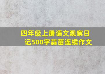 四年级上册语文观察日记500字蒜苗连续作文