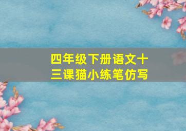 四年级下册语文十三课猫小练笔仿写