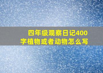 四年级观察日记400字植物或者动物怎么写