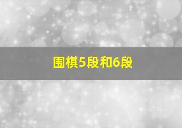 围棋5段和6段