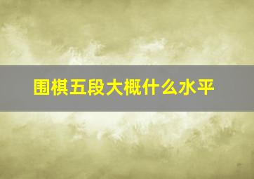 围棋五段大概什么水平