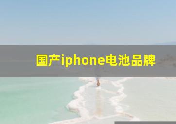 国产iphone电池品牌