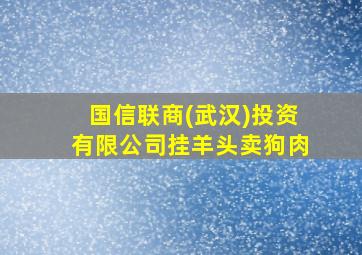 国信联商(武汉)投资有限公司挂羊头卖狗肉