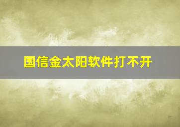 国信金太阳软件打不开