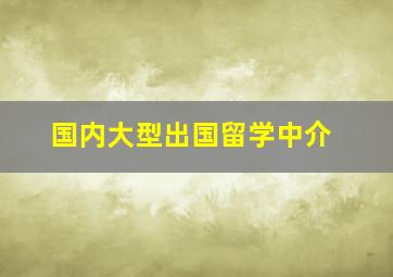 国内大型出国留学中介