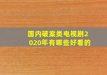 国内破案类电视剧2020年有哪些好看的