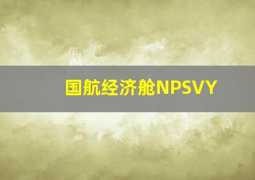 国航经济舱NPSVY