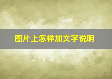 图片上怎样加文字说明