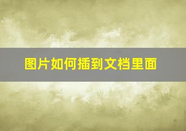 图片如何插到文档里面