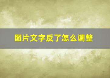 图片文字反了怎么调整