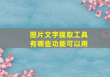 图片文字提取工具有哪些功能可以用