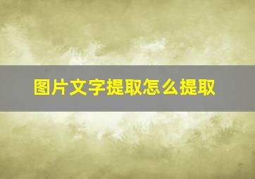 图片文字提取怎么提取