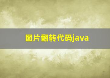 图片翻转代码java