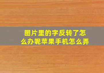 图片里的字反转了怎么办呢苹果手机怎么弄