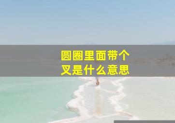 圆圈里面带个叉是什么意思