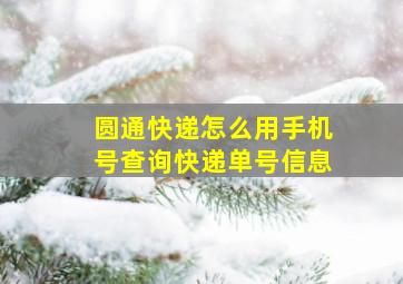 圆通快递怎么用手机号查询快递单号信息