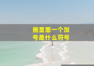 圈里面一个加号是什么符号