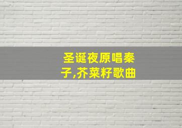 圣诞夜原唱秦子,芥菜籽歌曲