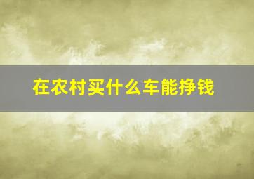 在农村买什么车能挣钱