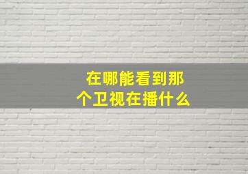 在哪能看到那个卫视在播什么