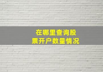 在哪里查询股票开户数量情况