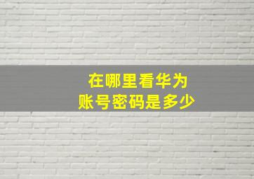 在哪里看华为账号密码是多少