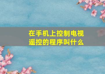 在手机上控制电视遥控的程序叫什么