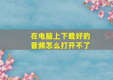 在电脑上下载好的音频怎么打开不了