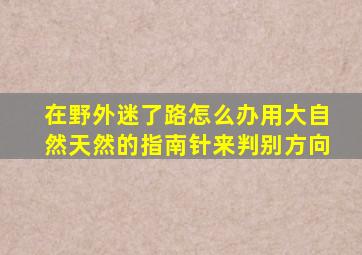 在野外迷了路怎么办用大自然天然的指南针来判别方向