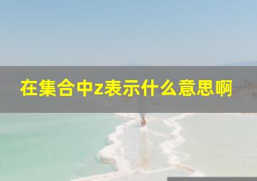 在集合中z表示什么意思啊