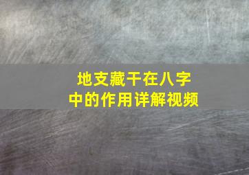 地支藏干在八字中的作用详解视频