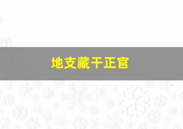 地支藏干正官