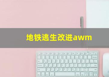 地铁逃生改进awm