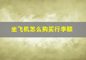 坐飞机怎么购买行李额