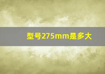 型号275mm是多大