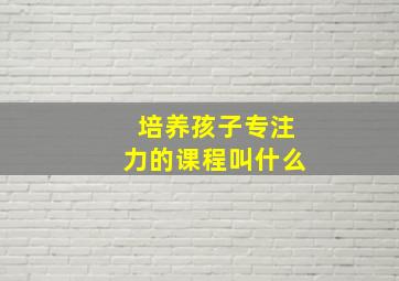 培养孩子专注力的课程叫什么