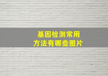 基因检测常用方法有哪些图片