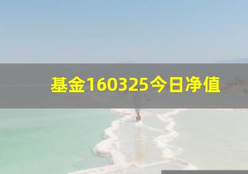 基金160325今日净值