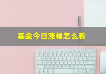 基金今日涨幅怎么看