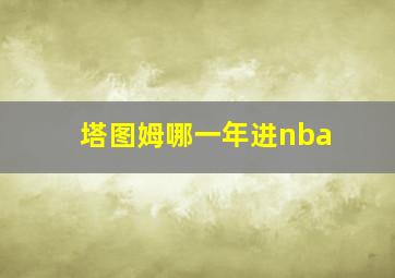 塔图姆哪一年进nba