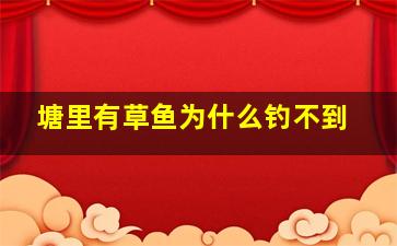 塘里有草鱼为什么钓不到