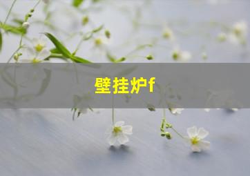 壁挂炉f