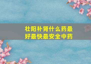 壮阳补肾什么药最好最快最安全中药